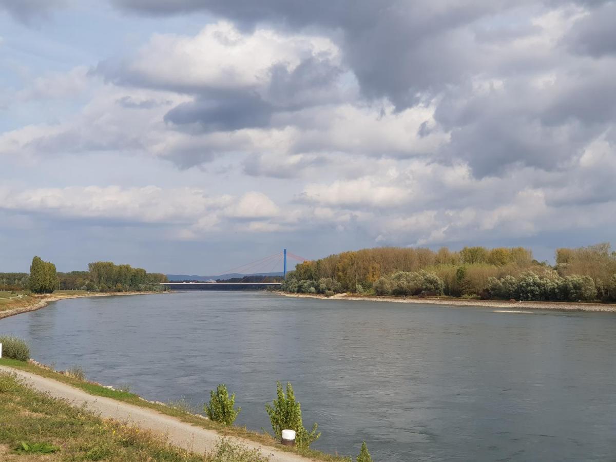דירות שפייר Wohnen Direkt Am Rhein, Zentrums- Und Domnah, 55Qm מראה חיצוני תמונה